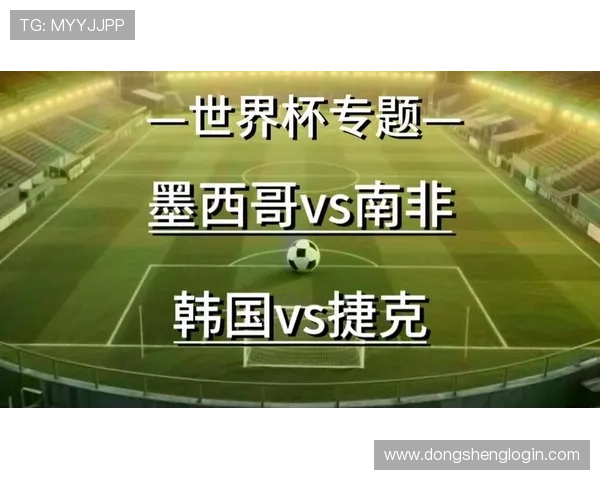 世界杯南非对阵韩国历史比分回顾与比赛精彩瞬间分析